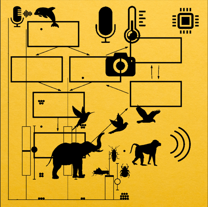the planetization of machine listening