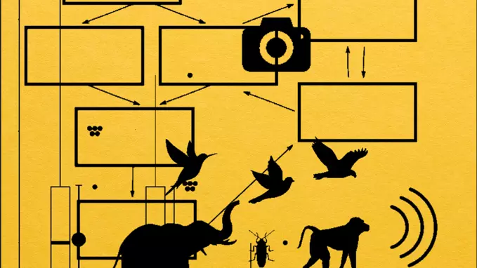 the planetization of machine listening