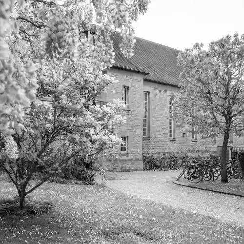 faculty 3 bw