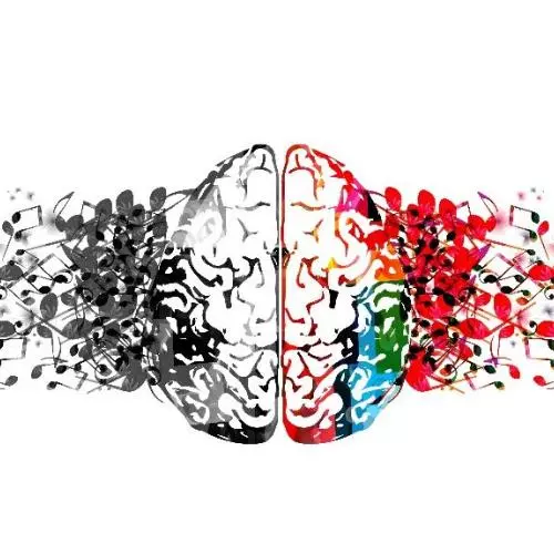 New research shows how cultural transmission shapes the evolution of music
