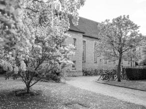 faculty 3 bw