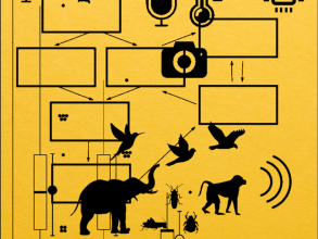 the planetization of machine listening